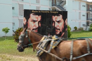 Cavallo - Santa Clara :: Cuba