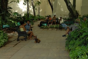 Conversazioni sulle panchine - L'Avana :: Cuba