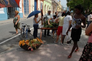 Dal fioraio - Camaguey :: Cuba