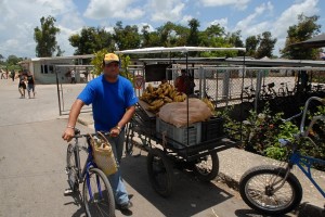 Entrata del mercato - Camaguey :: Cuba