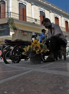 Fioraio - Cienfuegos :: Cuba