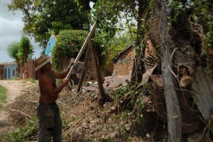 Persona potando un albero - Trinidad :: Cuba