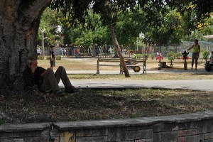 Riposando sotto l'albero - Holguin :: Cuba