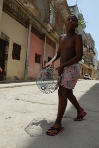 Una gabbia che verra gettata via - L'Avana :: Cuba