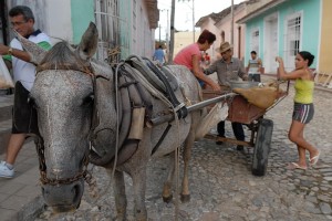 Vendita tamales - Trinidad :: Cuba