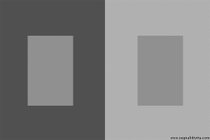 Tonalità di grigio :: Illusione Ottica
